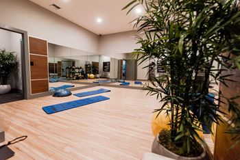 A yoga studio with plants and yoga mats on the floor